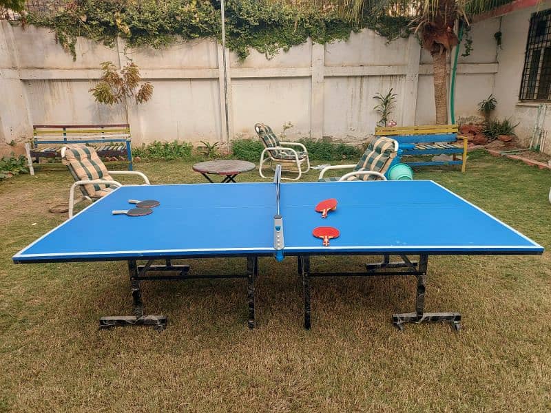 MDF Butterfly Table Tennis Set 2