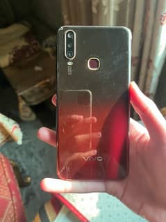 vivo