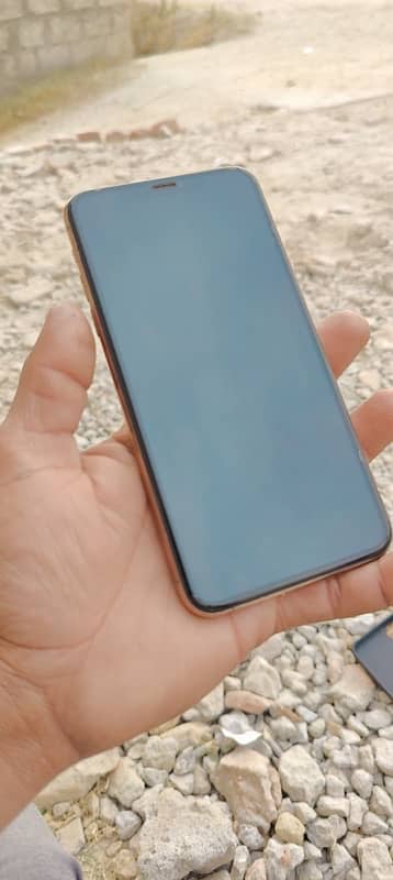 iPhone 11 pro max  256 gb 1