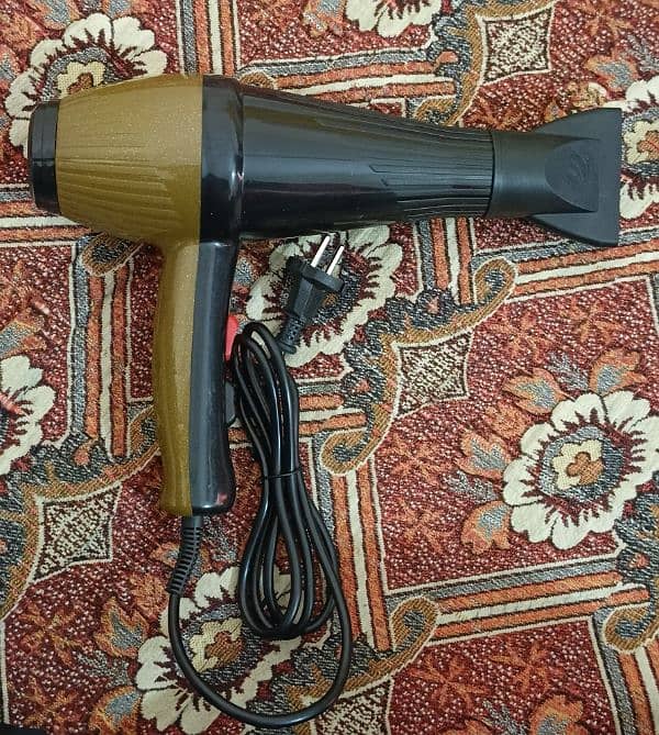 Hair dryer 1