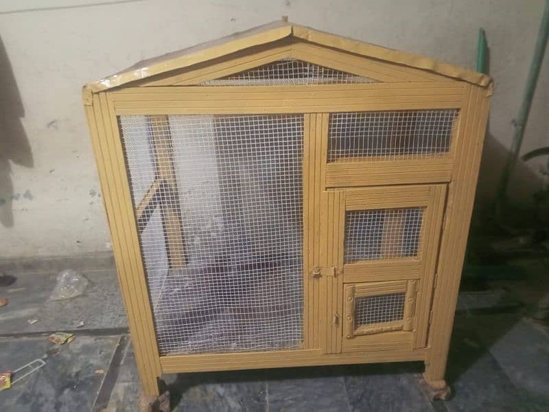 birds cage hens and parrot 0