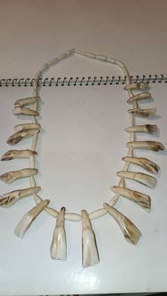 camel Teeth necklace for sale