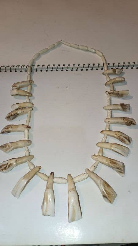 camel Teeth necklace for sale 0