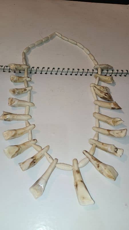 camel Teeth necklace for sale 1