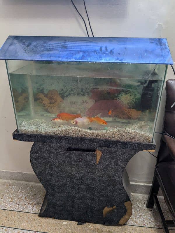 Aquarium with 8 fishes for sale 0