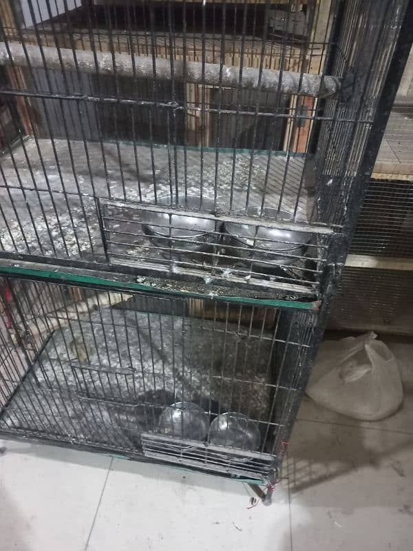 parrot cage available used 1