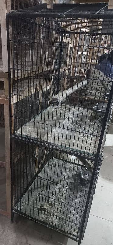 parrot cage available used 2