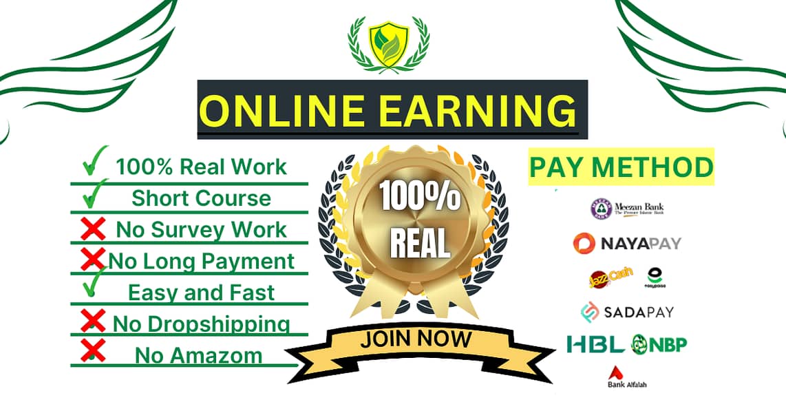 (No Age Limit) Online Earning Company To Teach you How to earn Online 0