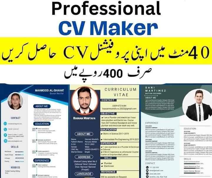 Professional cv maker 0