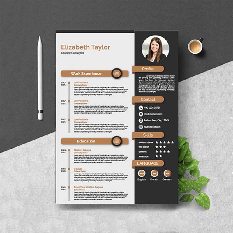 Professional cv maker 2