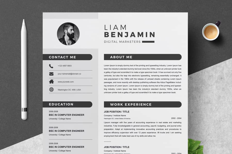 Professional cv maker 3