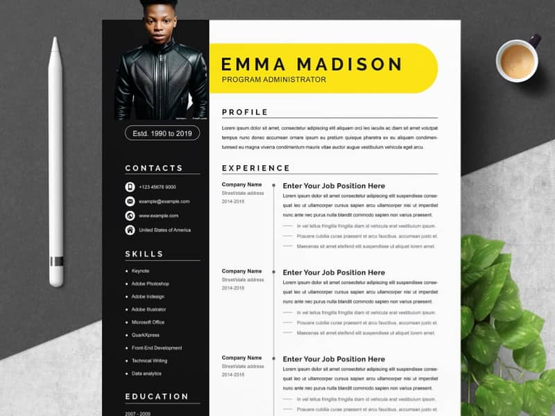 Professional cv maker 4