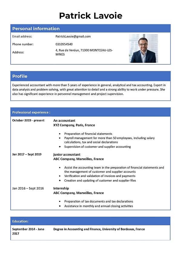 Professional cv maker 5