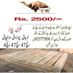 Export Wooden Pallets / Rack Storage / Warehouse stockist