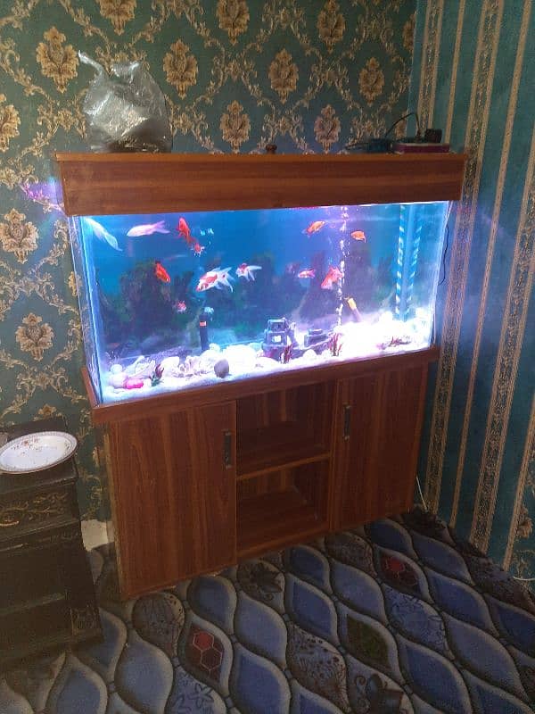 Fish Aquarium stand with fish's for sale 0