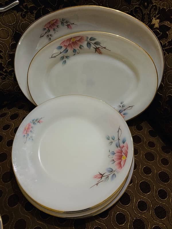 Dinner Set 6