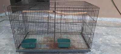 cage for parrots and pigeon