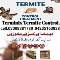 Termite/deemak Control/Pest Control service/dengue mosquito spray