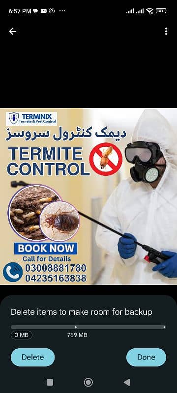 Termite/deemak Control/Pest Control service/dengue mosquito spray 1