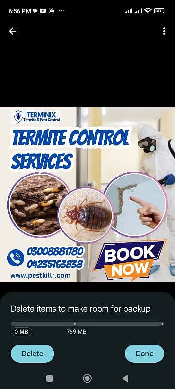 Termite/deemak Control/Pest Control service/dengue mosquito spray 2