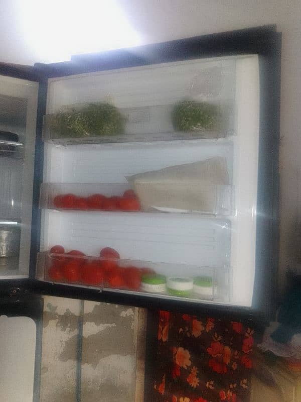 pel jumboo size fridge 3