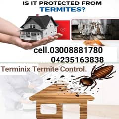 Termite/Deemak control/Pest control service/dengue mosquito spray