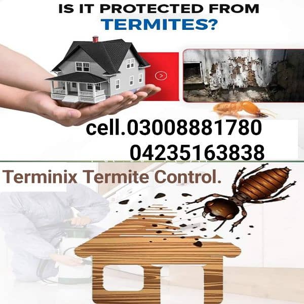 Termite/Deemak control/Pest control service/dengue mosquito spray 0