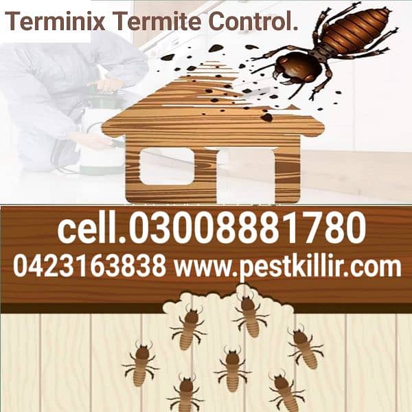 Termite/Deemak control/Pest control service/dengue mosquito spray 1