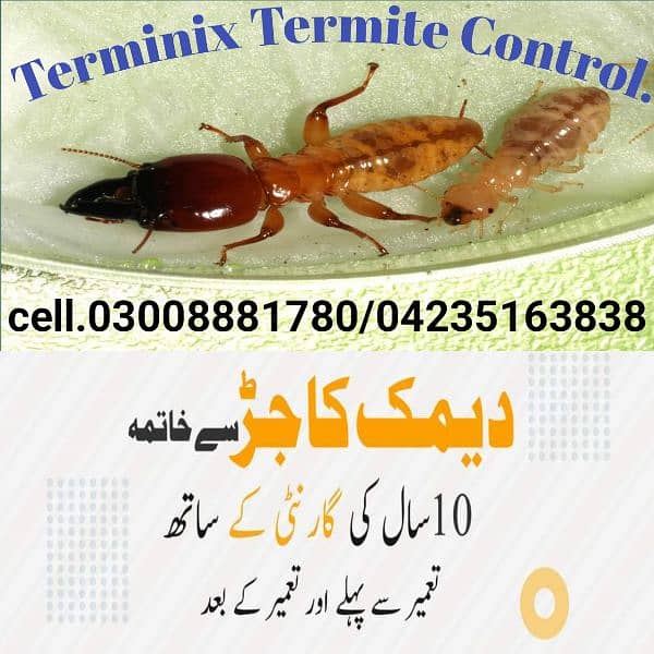 Termite/Deemak control/Pest control service/dengue mosquito spray 2