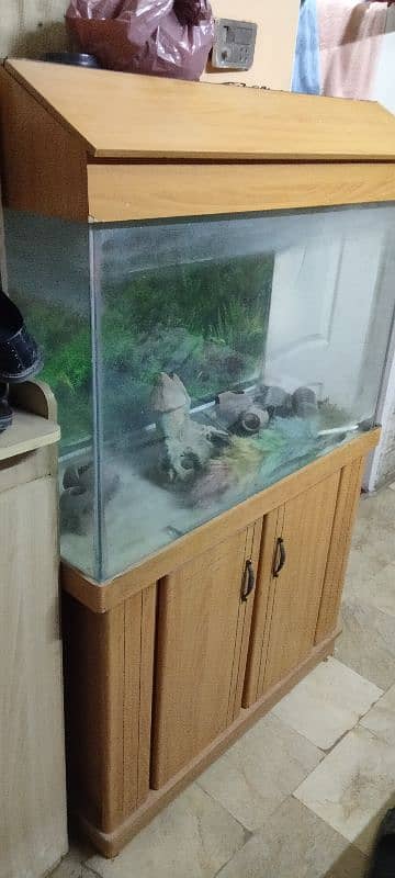 fish aquarium 2