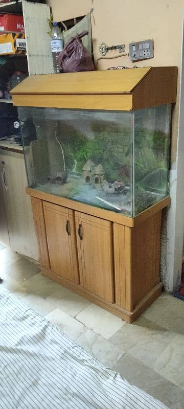 fish aquarium 3