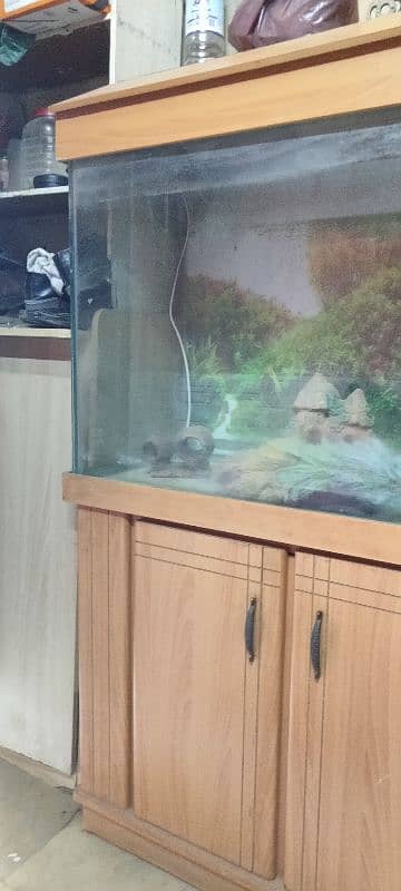 fish aquarium 5