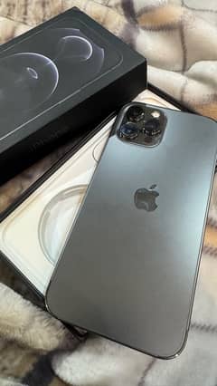 iphone 12 pro max pta approved