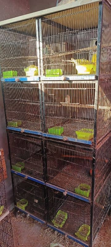 8 poshion bird cage good condition 0