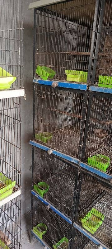 8 poshion bird cage good condition 1