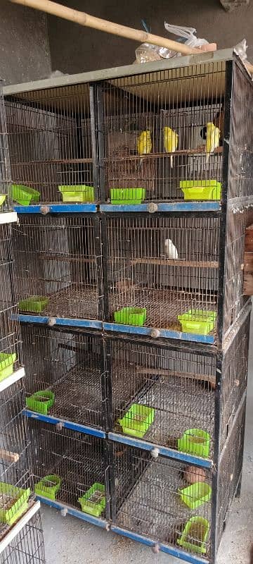 8 poshion bird cage good condition 2