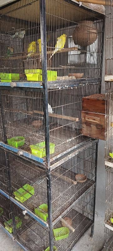 8 poshion bird cage good condition 3