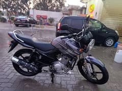 Yamaha YBR 125 esd converted YBR g