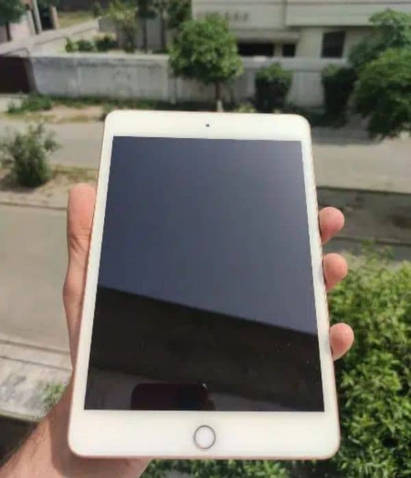 iPad Mini 5 1