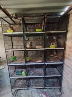 cage for dove and Finch