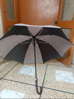 Umbrella