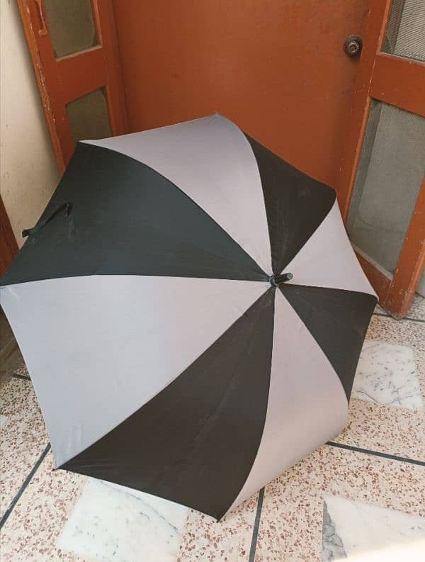 Umbrella 1