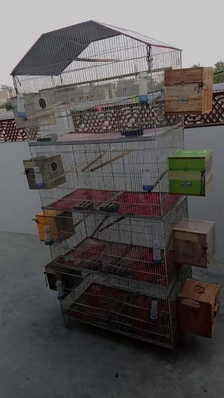 birds cage for sale 2