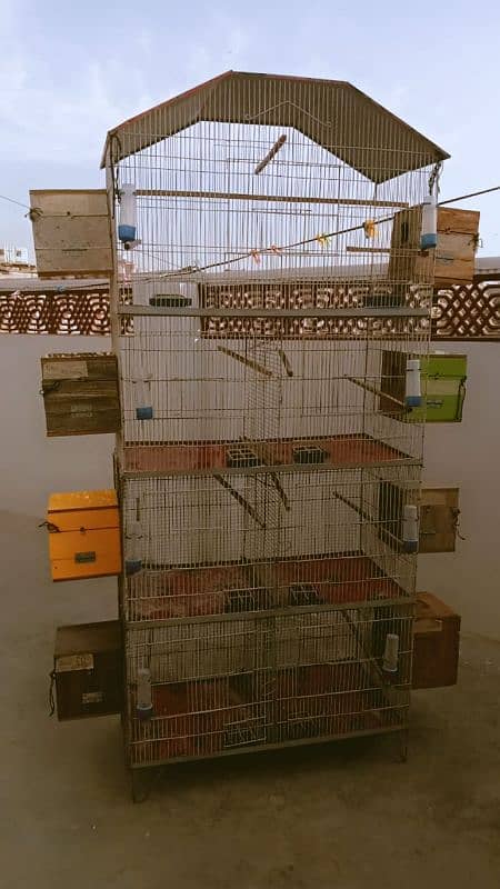 birds cage for sale 4