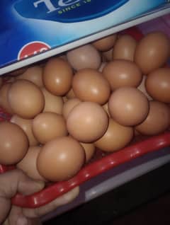 Brown Pure Organic Desi Eggs