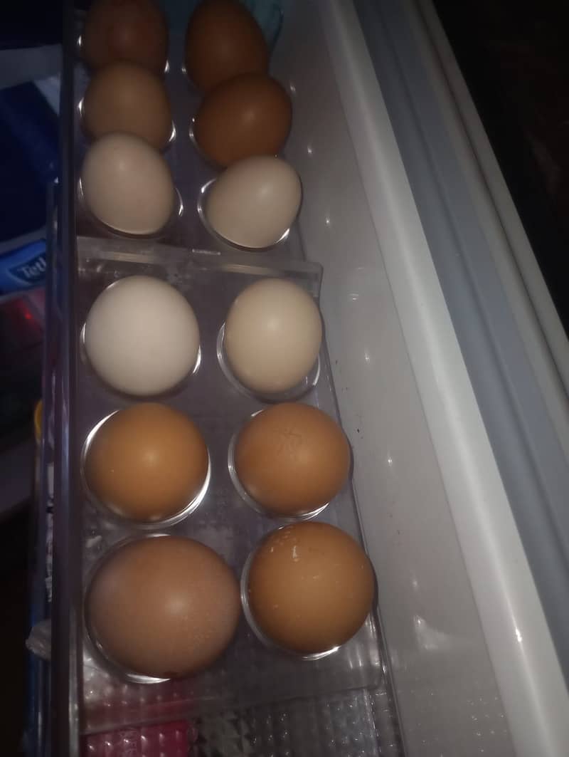 Brown Pure Organic Desi Eggs 2