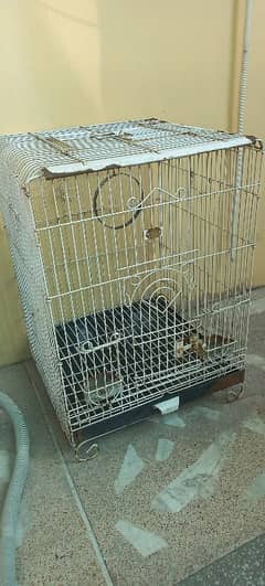 b. c branded company bird cage for sale urgent