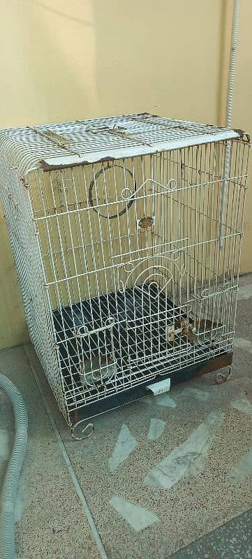 b. c branded company bird cage for sale urgent 0