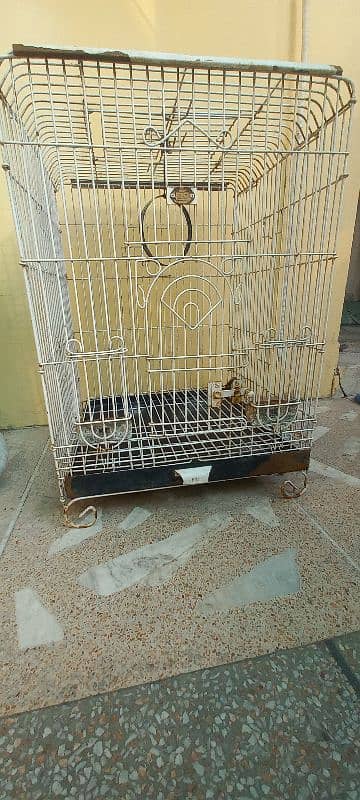 b. c branded company bird cage for sale urgent 3