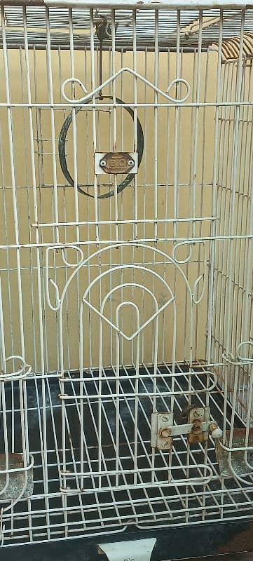 b. c branded company bird cage for sale urgent 4